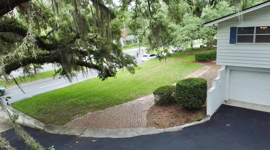 Front Yard