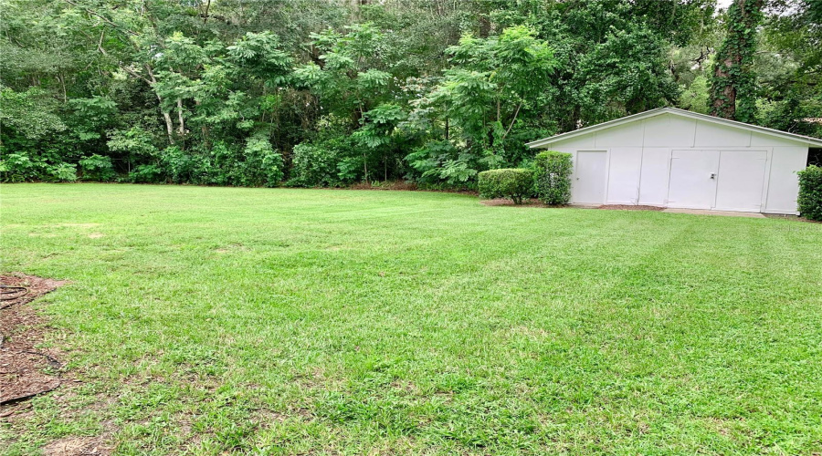 Backyard And Shed