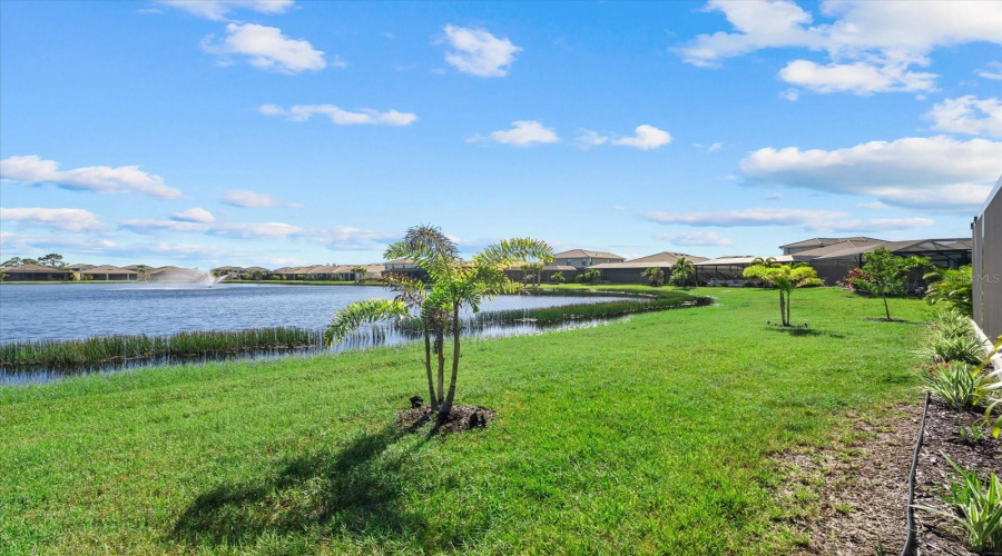 Backyard Water Views
