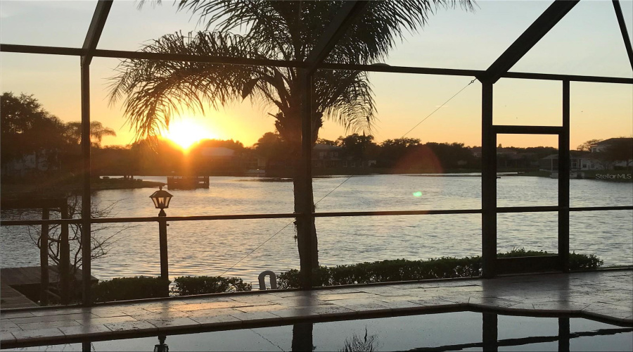 Tampa, Florida 33647, 5 Bedroom Bedrooms, ,3 Bathroombathrooms,Residential,For Sale,Java Isle,0,Mfrtb8525534