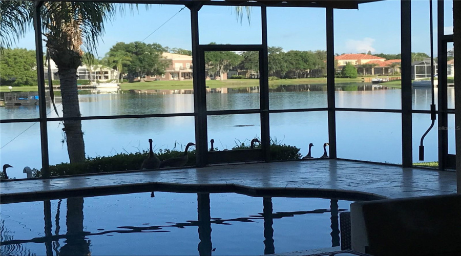 Tampa, Florida 33647, 5 Bedroom Bedrooms, ,3 Bathroombathrooms,Residential,For Sale,Java Isle,0,Mfrtb8525534