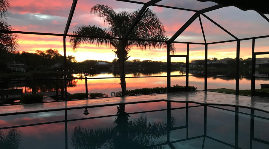 Tampa, Florida 33647, 5 Bedroom Bedrooms, ,3 Bathroombathrooms,Residential,For Sale,Java Isle,0,Mfrtb8525534