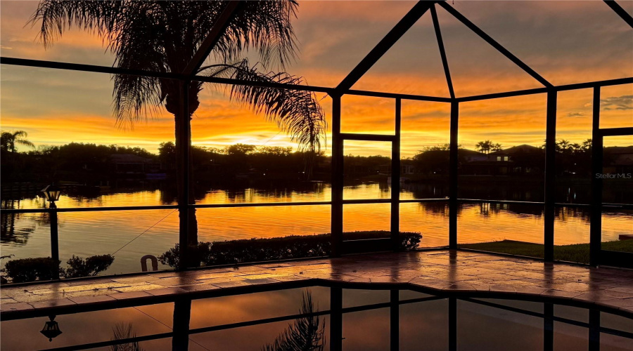 Tampa, Florida 33647, 5 Bedroom Bedrooms, ,3 Bathroombathrooms,Residential,For Sale,Java Isle,0,Mfrtb8525534