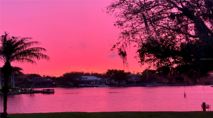 Tampa, Florida 33647, 5 Bedroom Bedrooms, ,3 Bathroombathrooms,Residential,For Sale,Java Isle,0,Mfrtb8525534