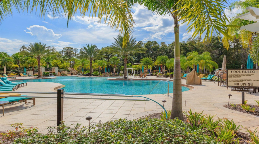 Community Pool