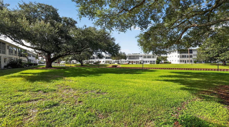 Seminole, Florida 33772, 1 Bedroom Bedrooms, ,1 Bathroombathrooms,Residential,For Sale,112Th,0,Mfro6436446