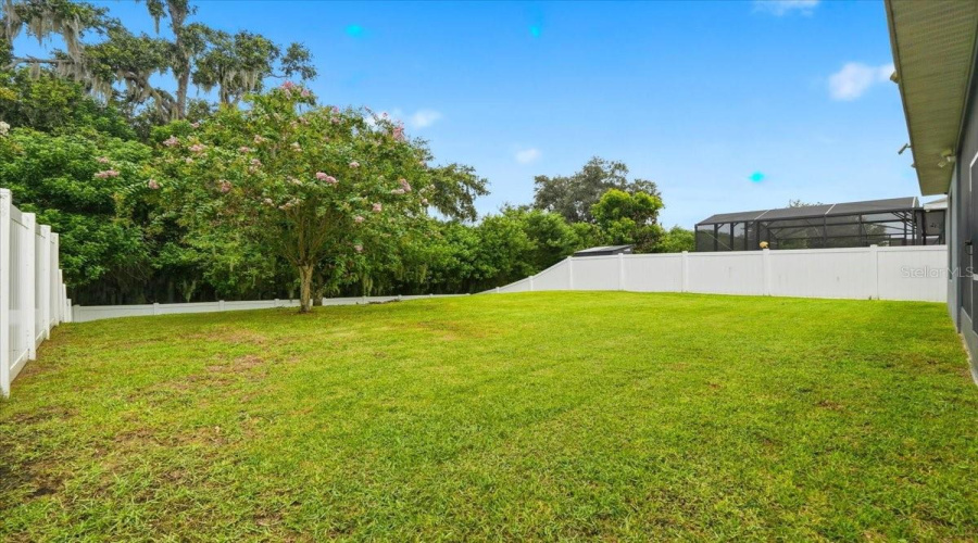 An Expansive, Fully Fenced Backyard Framed By Conservation Offers Incredible Room To Play, Entertain Or Simply Unwind, Complete With A Mature Mango Tree For A Touch Of Florida Charm.