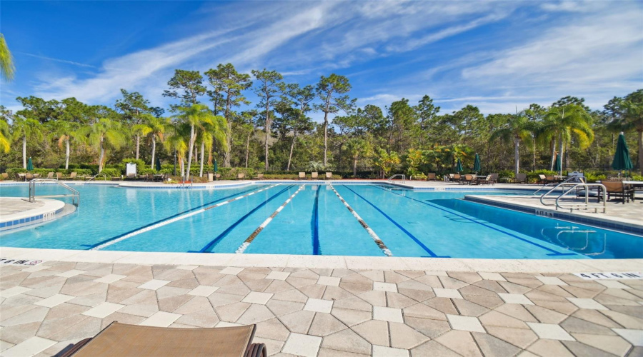 Tampa, Florida 33647, 4 Bedroom Bedrooms, ,3 Bathroombathrooms,Residential,For Sale,Merry Oak,0,Mfrtb8537667