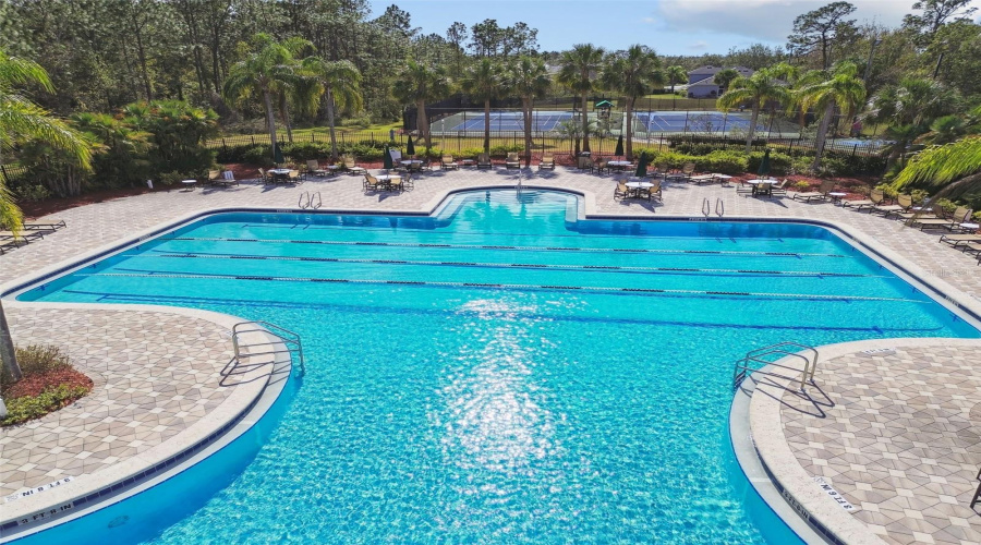 Tampa, Florida 33647, 4 Bedroom Bedrooms, ,3 Bathroombathrooms,Residential,For Sale,Merry Oak,0,Mfrtb8537667