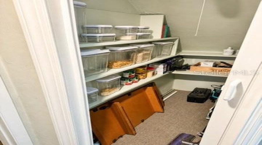 Understairs Closet