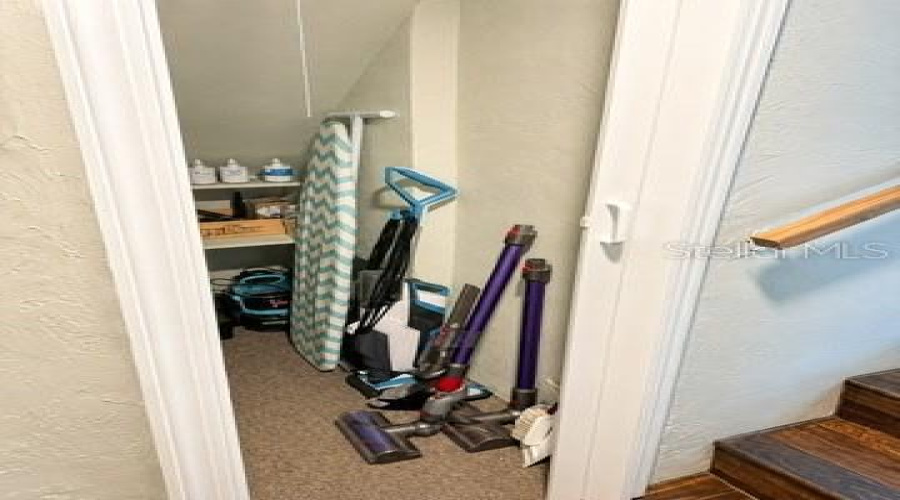 Understairs Closet