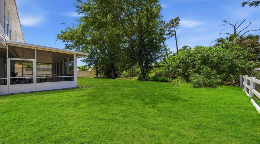 Lush Meticulous Yard