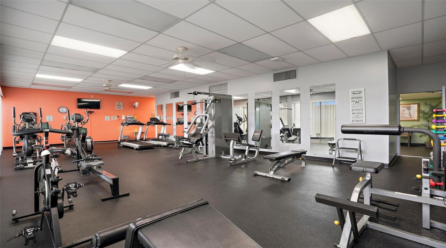 Gym