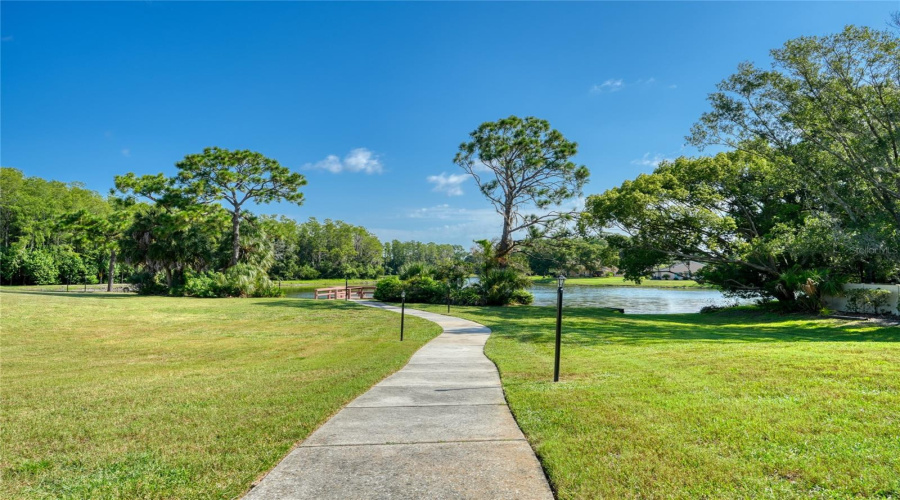 Expansive Green Space Adds To The Peaceful Community Setting