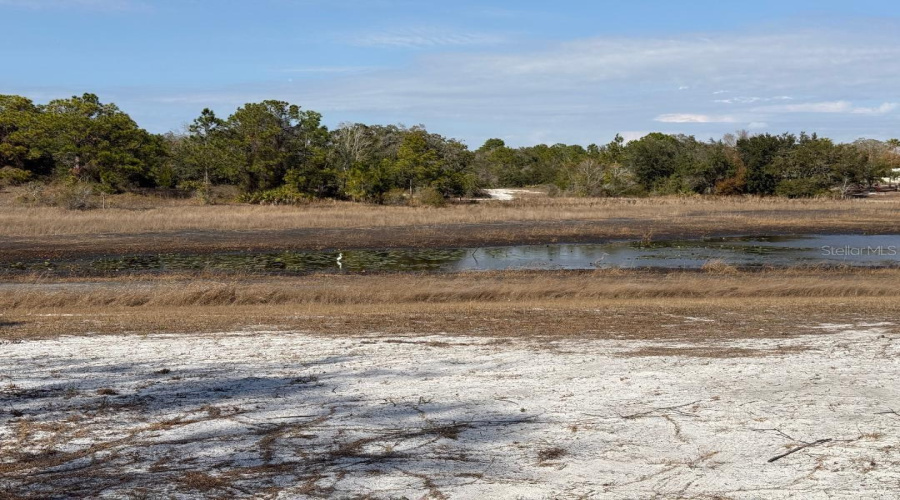 Weeki Wachee, Florida 34613, 1 Bedroom Bedrooms, ,1 Bathroombathrooms,Residential,For Sale,Grizzly Bear,0,Mfrw7883015