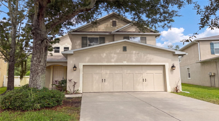 Wesley Chapel, Florida 33545, 3 Bedroom Bedrooms, ,2 Bathroombathrooms,Residential,For Sale,Spoonflower,0,Mfro6434398