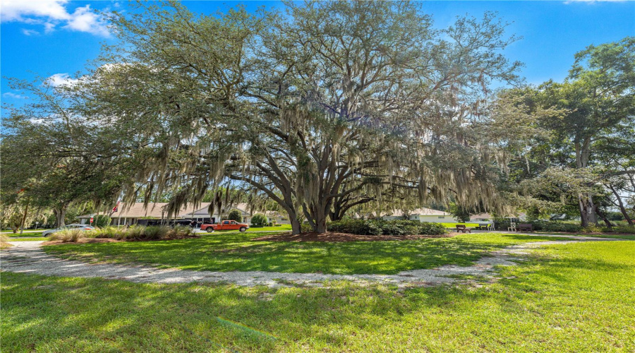 Ocala, Florida 34481, 2 Bedroom Bedrooms, ,2 Bathroombathrooms,Residential,For Sale,96Th,0,Mfrom729234
