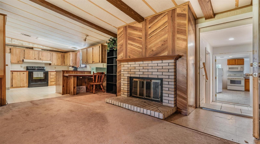Woodburning Fireplace