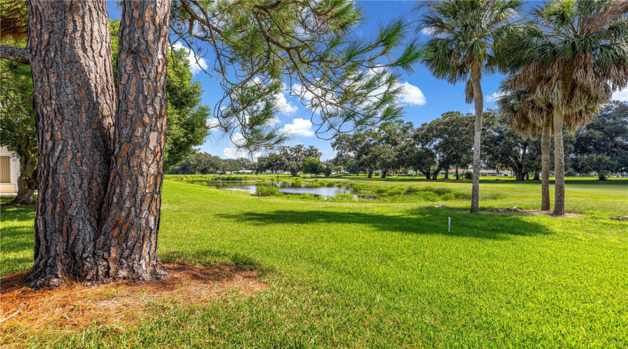 Summerfield, Florida 34491, 2 Bedroom Bedrooms, ,2 Bathroombathrooms,Residential,For Sale,99Th,0,Mfrg5116885