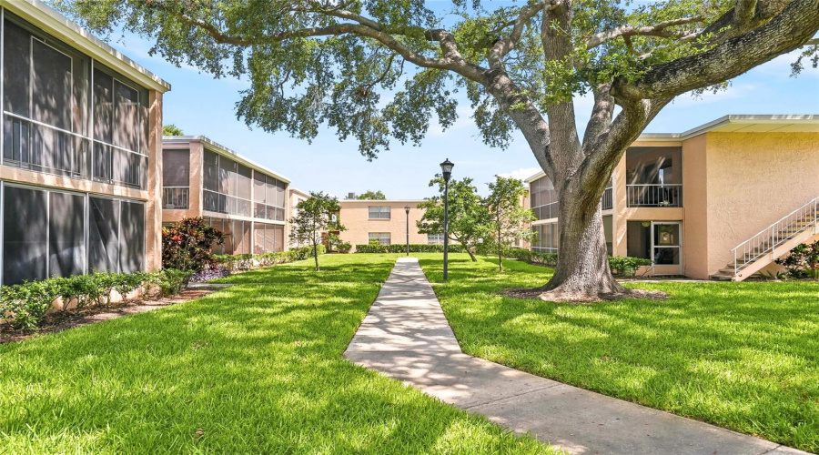 Tampa, Florida 33614, 1 Bedroom Bedrooms, ,1 Bathroombathrooms,Residential,For Sale,Michael,0,Mfrtb8538668