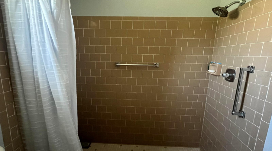Master Shower