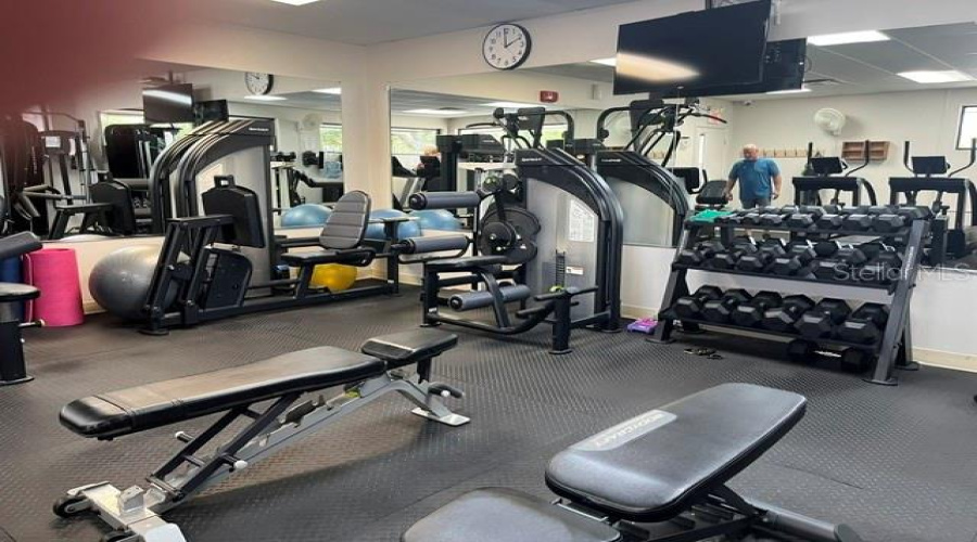 Gym