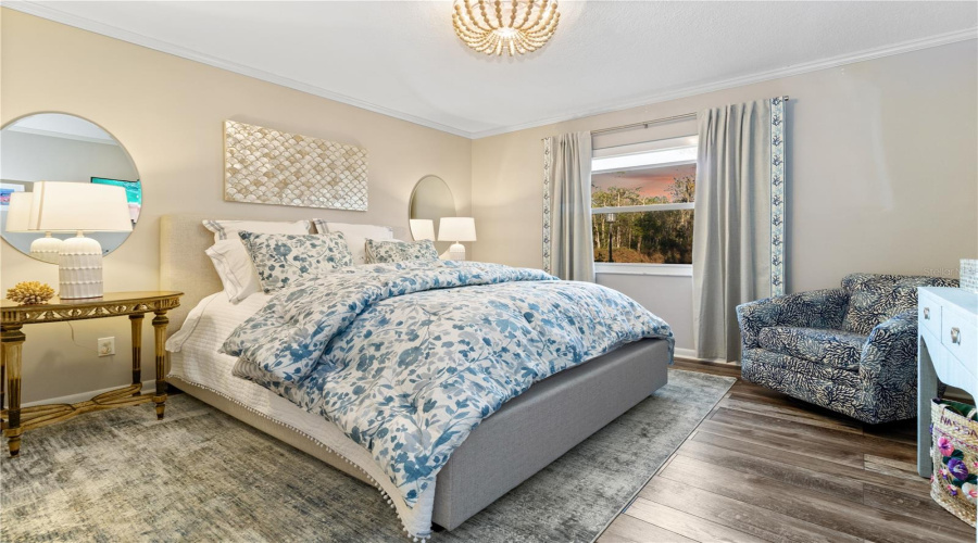 Guest Bed