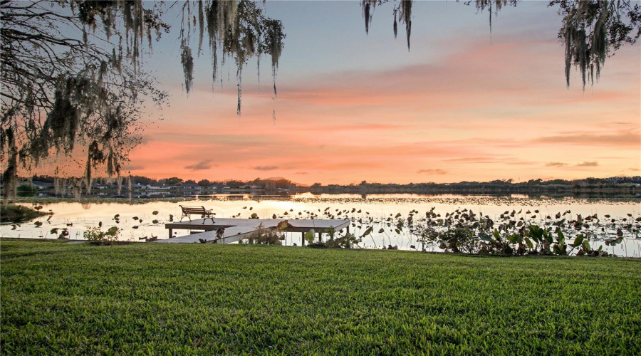 Lake Pansy