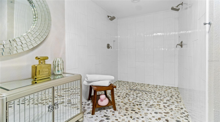 Primary Shower