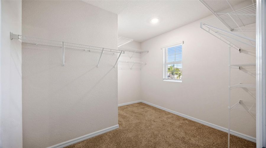 Wesley Chapel, Florida 33543, 5 Bedroom Bedrooms, ,3 Bathroombathrooms,Residential,For Sale,Ansley Bloom,0,Mfrtb8469113