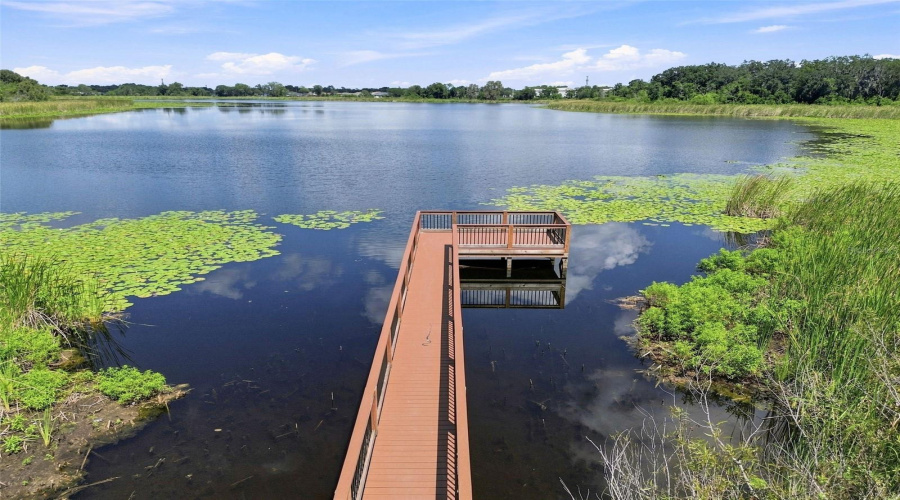 Orlando, Florida 32809, 3 Bedroom Bedrooms, ,2 Bathroombathrooms,Residential,For Sale,Cherry Grove,0,Mfrtb8542637