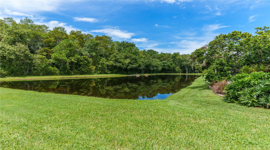 New Port Richey, Florida 34655, 4 Bedroom Bedrooms, ,2 Bathroombathrooms,Residential,For Sale,Timberwyck,0,Mfrw7888835