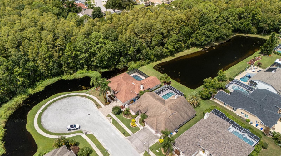 New Port Richey, Florida 34655, 4 Bedroom Bedrooms, ,2 Bathroombathrooms,Residential,For Sale,Timberwyck,0,Mfrw7888835
