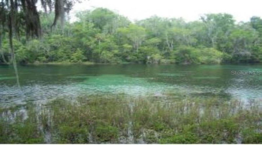 Dunnellon, Florida 34431, 3 Bedroom Bedrooms, ,2 Bathroombathrooms,Residential,For Sale,203Rd,0,Mfrom730946