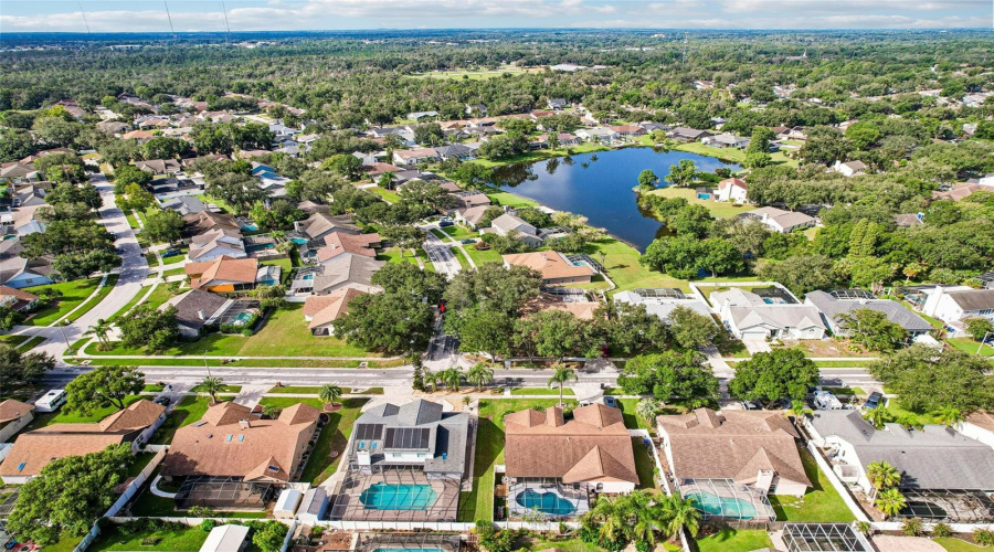 Ariel View Of Neighborhood