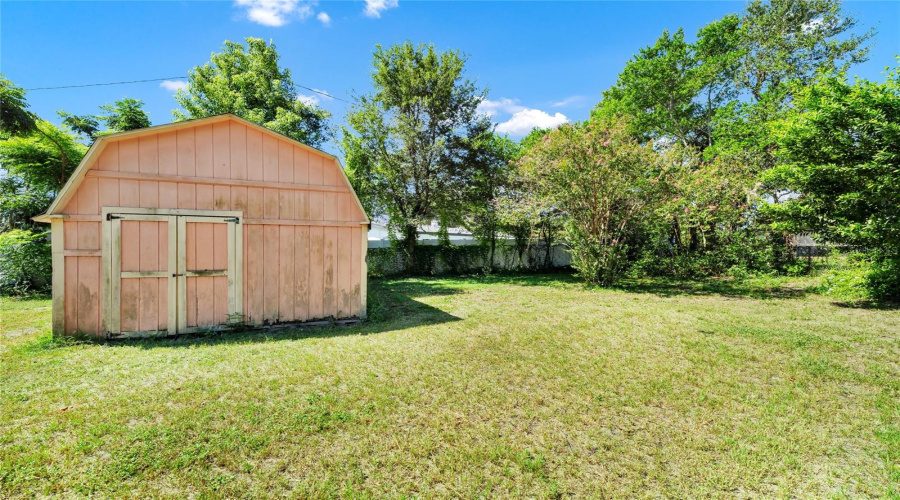 Backyard/Shed