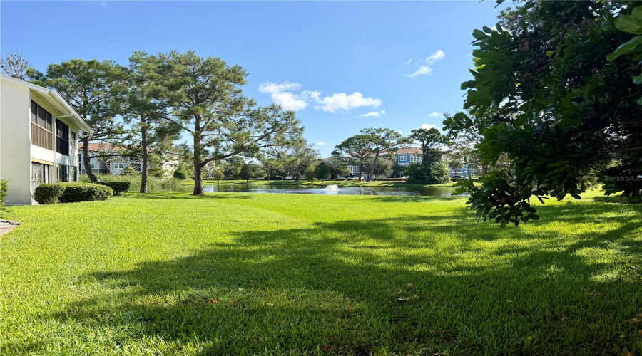 Clearwater, Florida 33763, 2 Bedroom Bedrooms, ,2 Bathroombathrooms,Residential,For Sale,Royal Pines,0,Mfrtb8538041