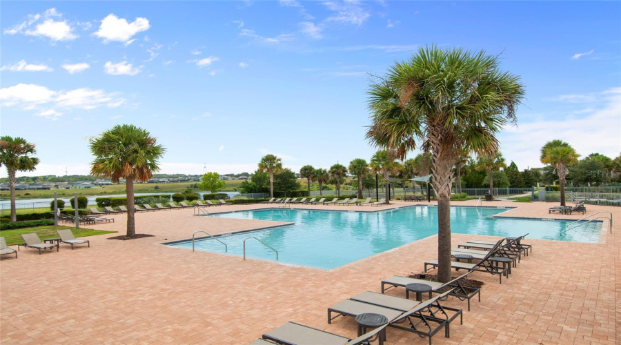 The Main Pool Is Oversized And Has Tons Of Seating.