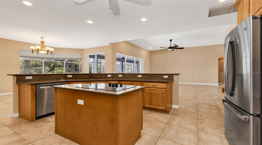 Island Cooktop