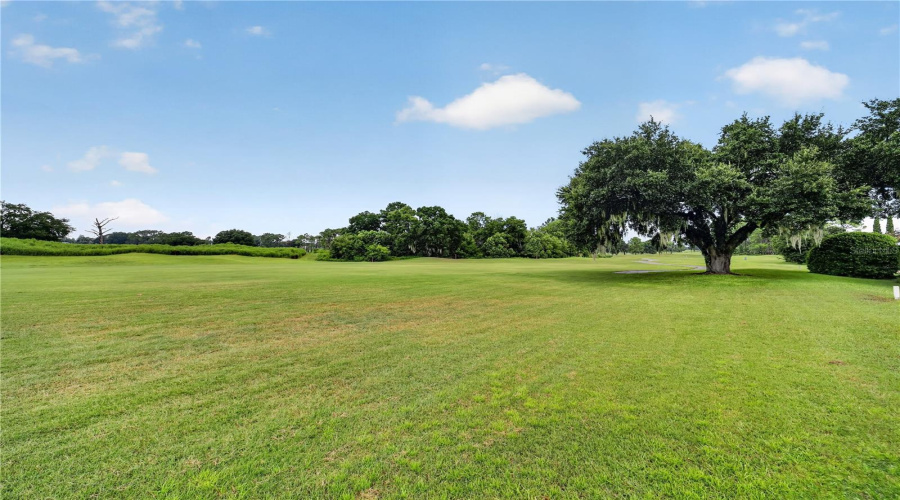 Golf Course Behind Home