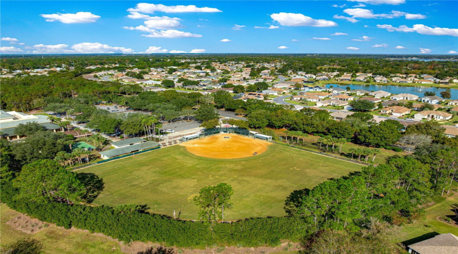 Ball Park