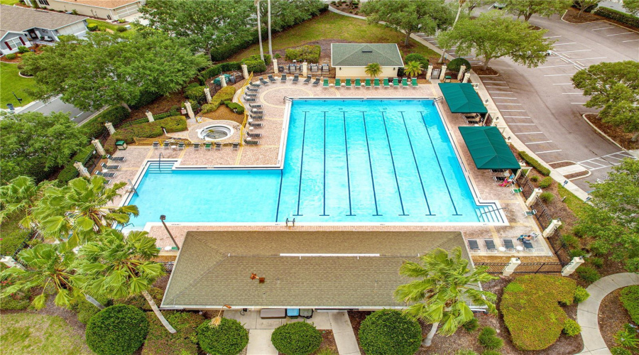 Adult Pool  (3 Pools - Adult, Family Pool And Indoor Pool
