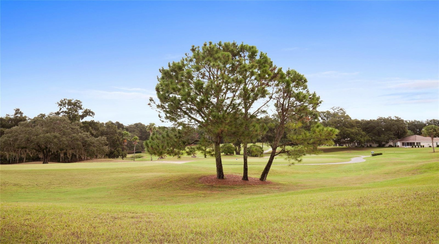 Summerfield, Florida 34491, 2 Bedroom Bedrooms, ,2 Bathroombathrooms,Residential,For Sale,91St,0,Mfrom730988