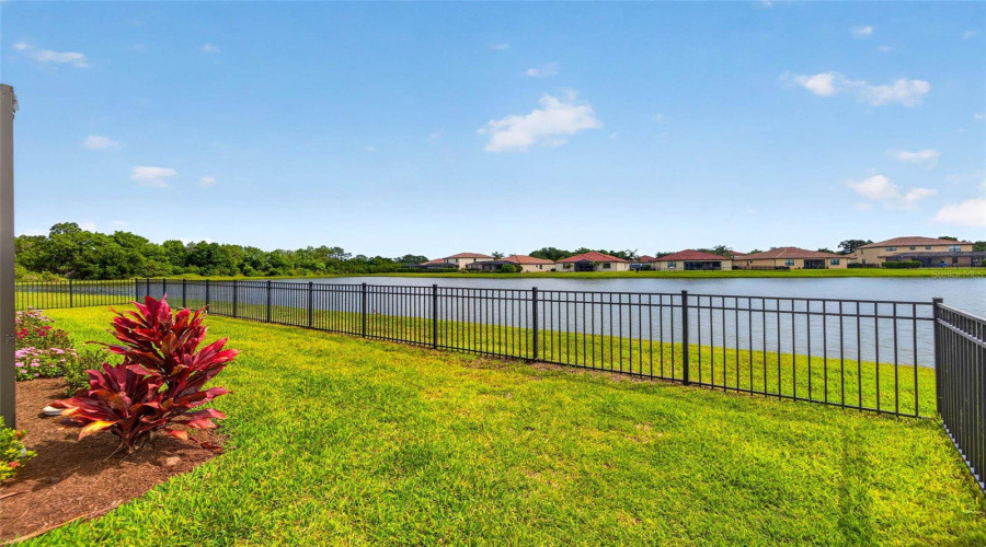 Fenced Yard