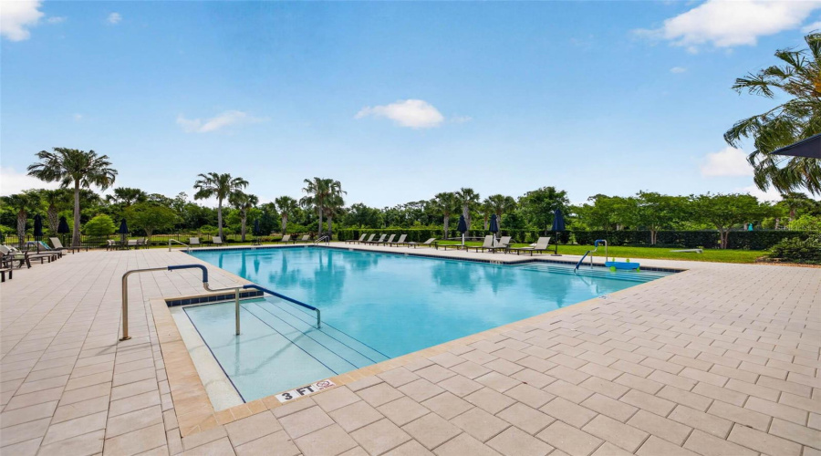 Community Pool
