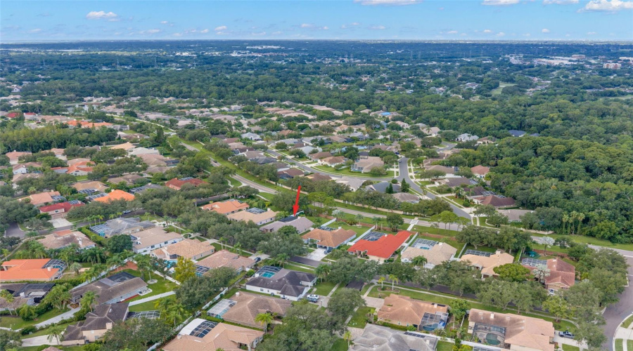 Oldsmar, Florida 34677, 4 Bedroom Bedrooms, ,3 Bathroombathrooms,Residential,For Sale,Captiva,0,Mfrtb8537101