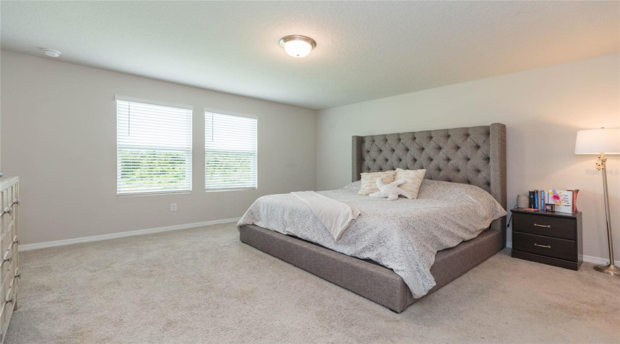 Zephyrhills, Florida 33540, 4 Bedroom Bedrooms, ,2 Bathroombathrooms,Residential,For Sale,Opal Willow,0,Mfrtb8531557