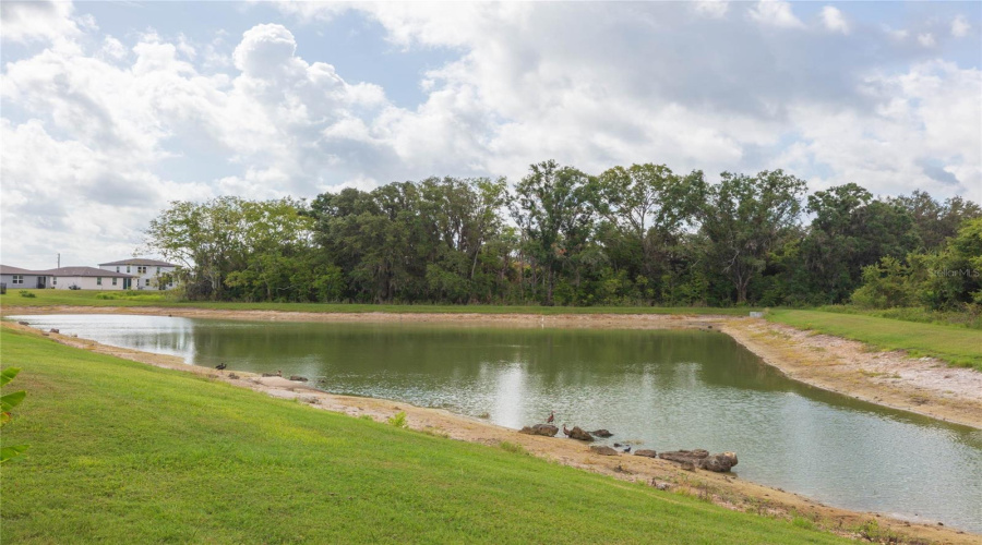 Zephyrhills, Florida 33540, 4 Bedroom Bedrooms, ,2 Bathroombathrooms,Residential,For Sale,Opal Willow,0,Mfrtb8531557