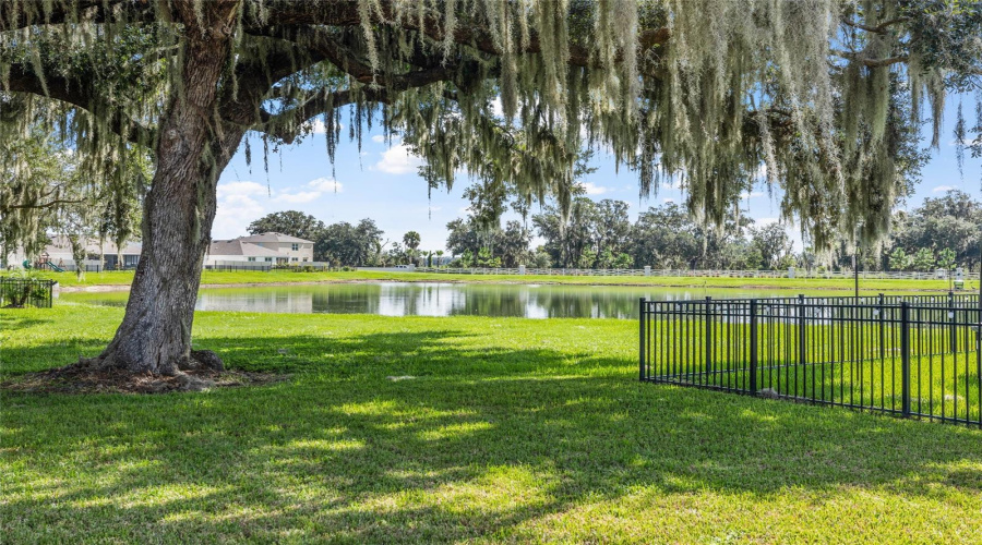 Plant City, Florida 33565, 3 Bedroom Bedrooms, ,2 Bathroombathrooms,Residential,For Sale,Crescent Peak,0,Mfrtb8539099