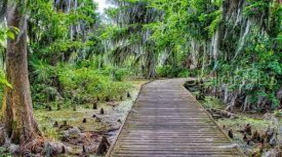 Mount Dora, Florida 32757, 4 Bedroom Bedrooms, ,3 Bathroombathrooms,Residential,For Sale,Greenheart,0,Mfro6408426